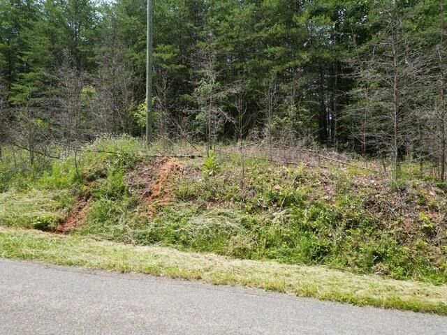 00 CREASEY CHAPEL RD - Photo 5