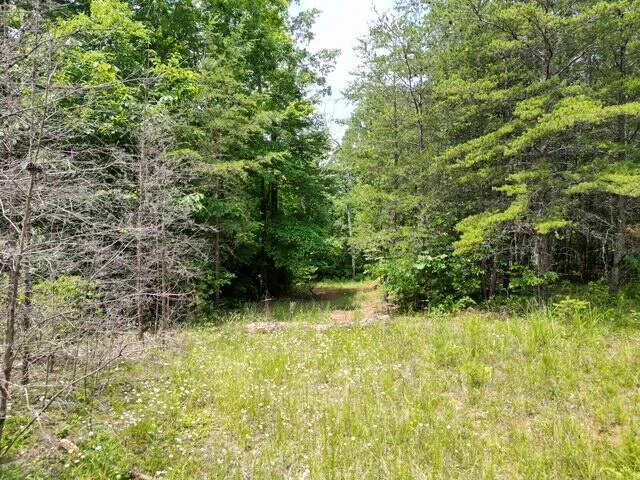 00 CREASEY CHAPEL RD - Photo 7