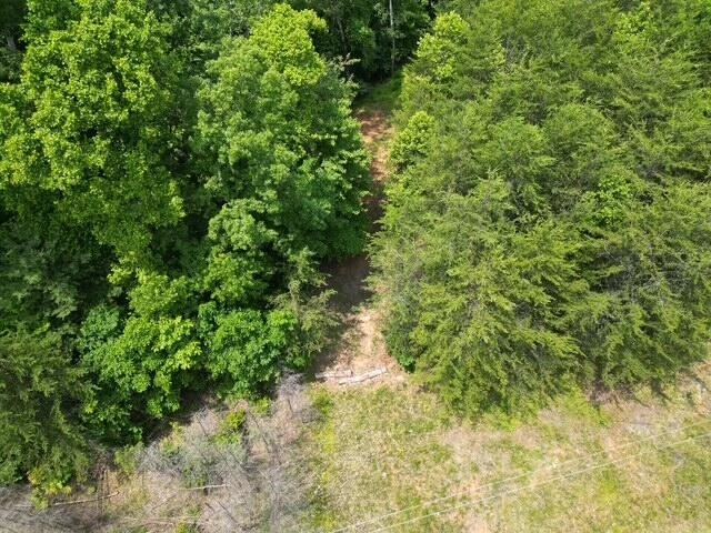 00 CREASEY CHAPEL RD - Photo 9
