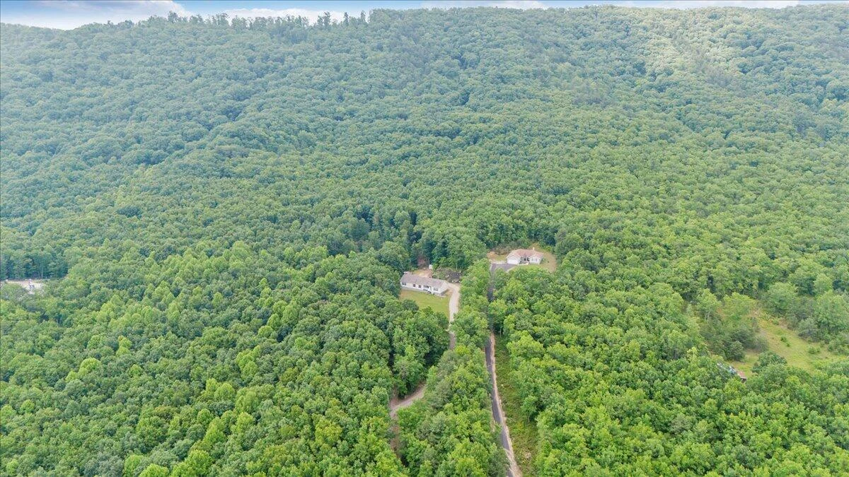 384 White Oak LN - Photo 46