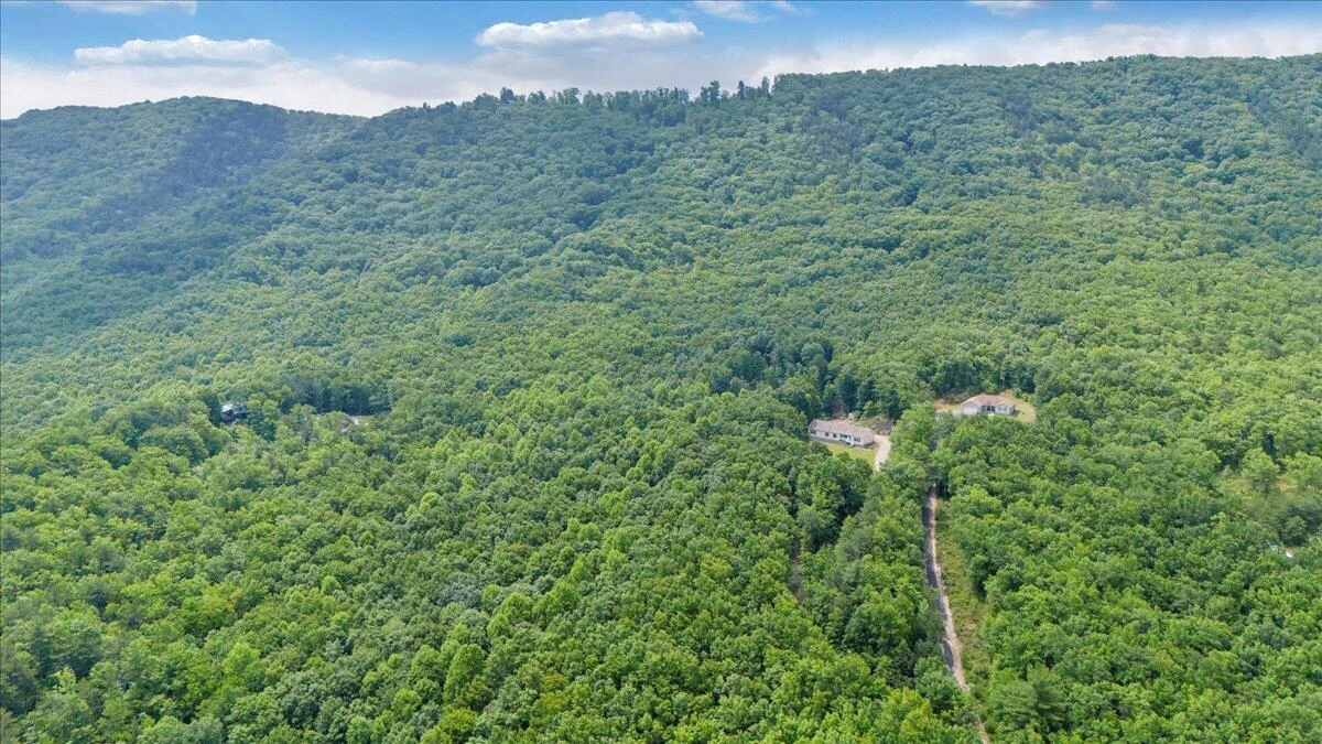 384 White Oak LN - Photo 49