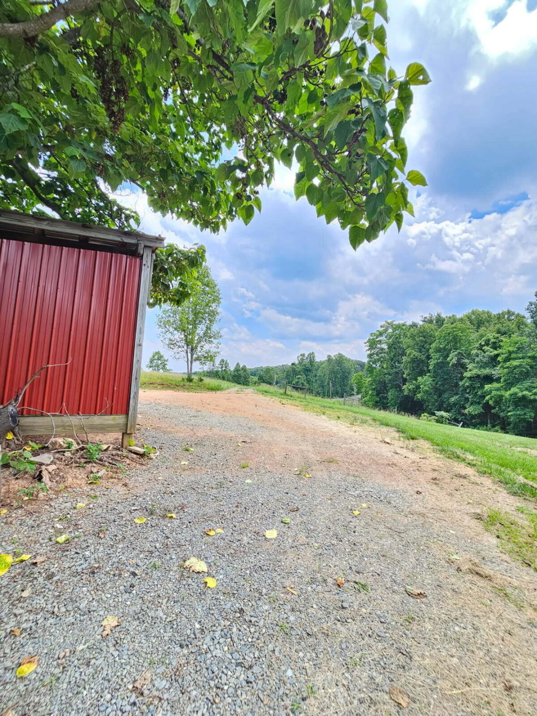 345 Deepwoods RD - Photo 12