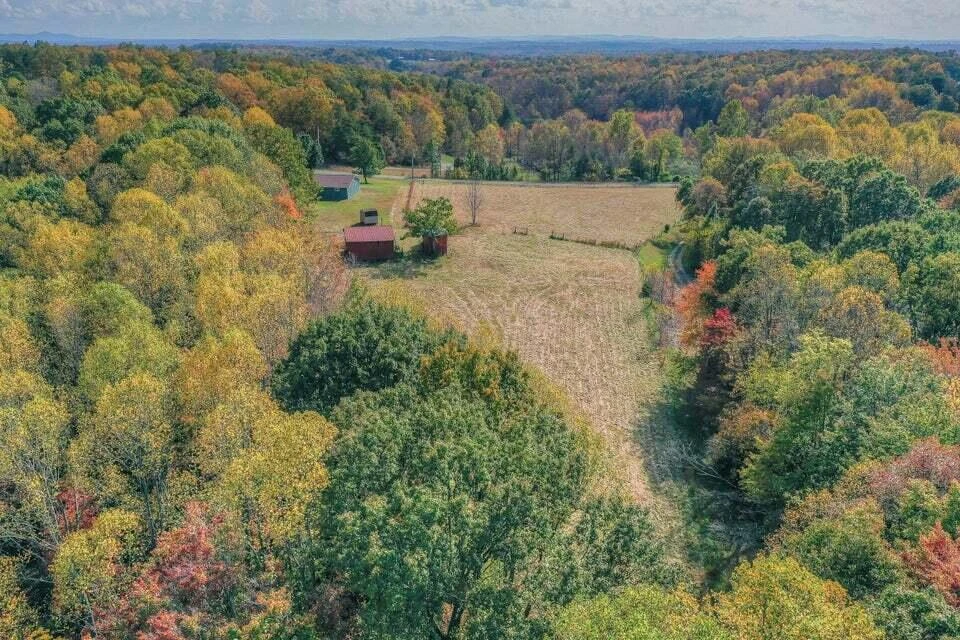345 Deepwoods RD - Photo 3