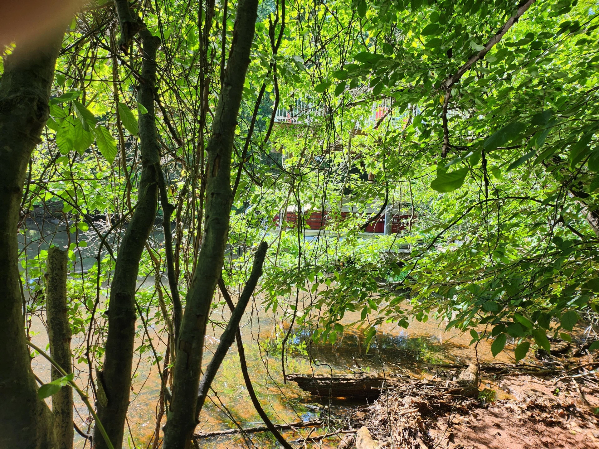 Lot 31 Forest Shores RD - Photo 7