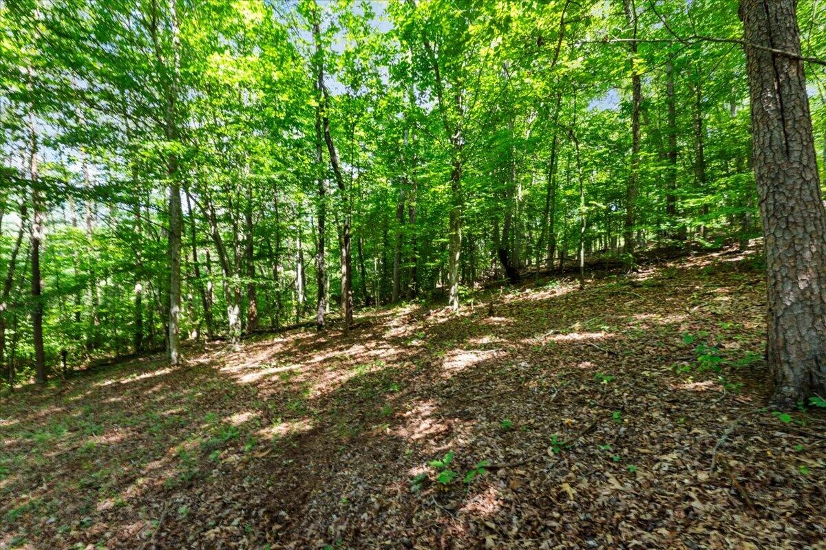 612 Peters Creek DR - Photo 62