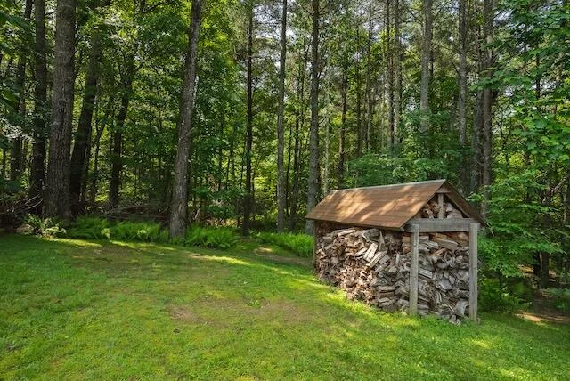 2716 Peaks Mountain RD - Photo 11