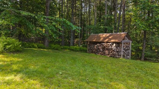 2716 Peaks Mountain RD - Photo 14