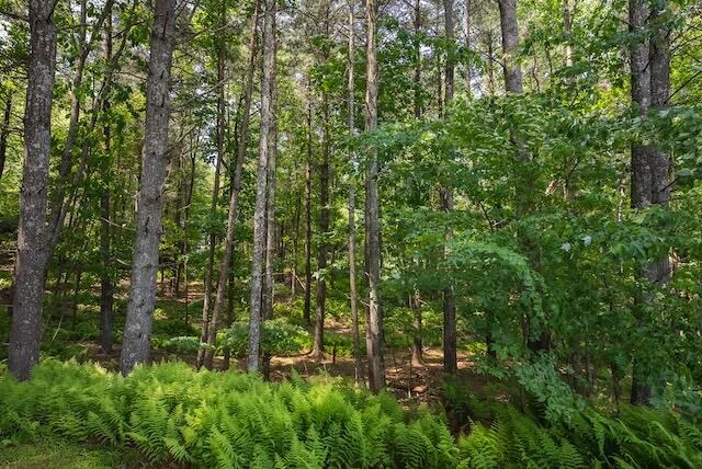 2716 Peaks Mountain RD - Photo 15