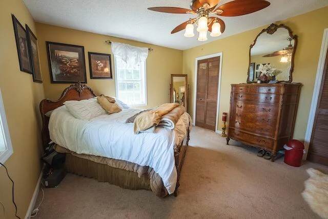 2716 Peaks Mountain RD - Photo 34