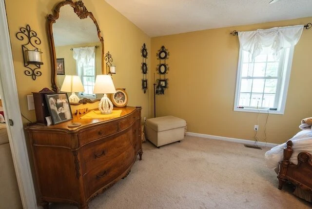 2716 Peaks Mountain RD - Photo 35