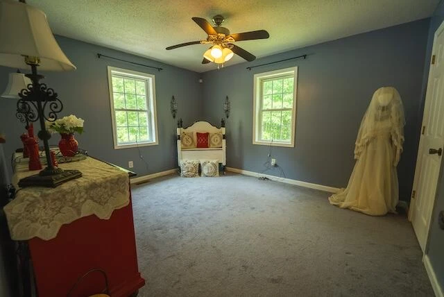 2716 Peaks Mountain RD - Photo 37