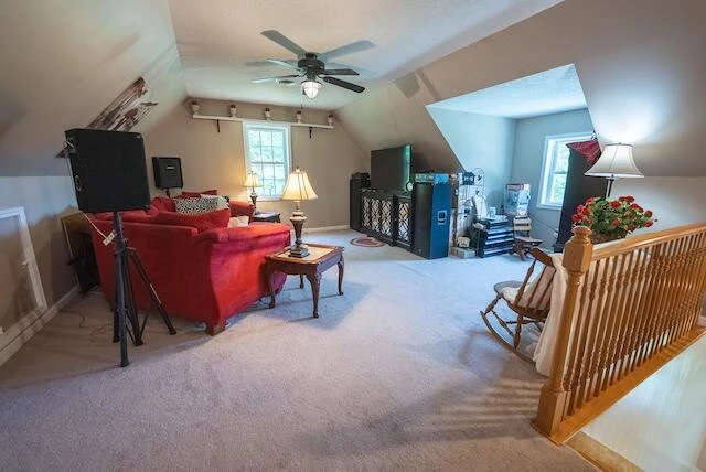 2716 Peaks Mountain RD - Photo 43