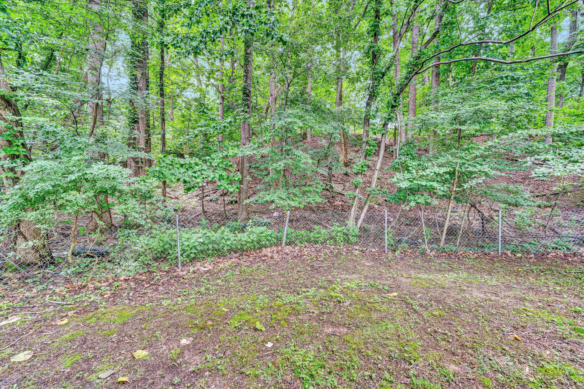 5006 Fort Lewis Church RD - Photo 19