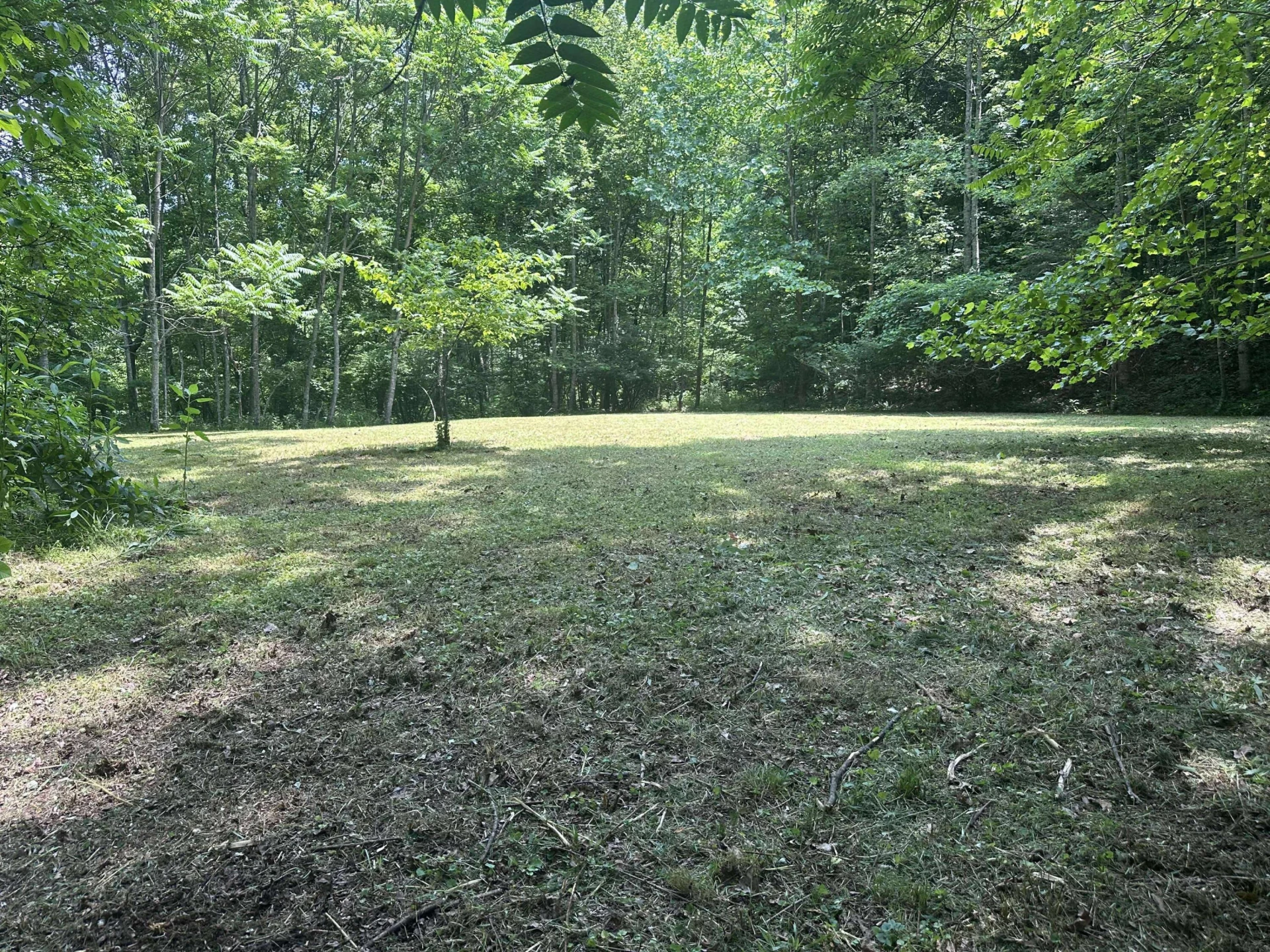 0 Patterson TRL - Photo 4