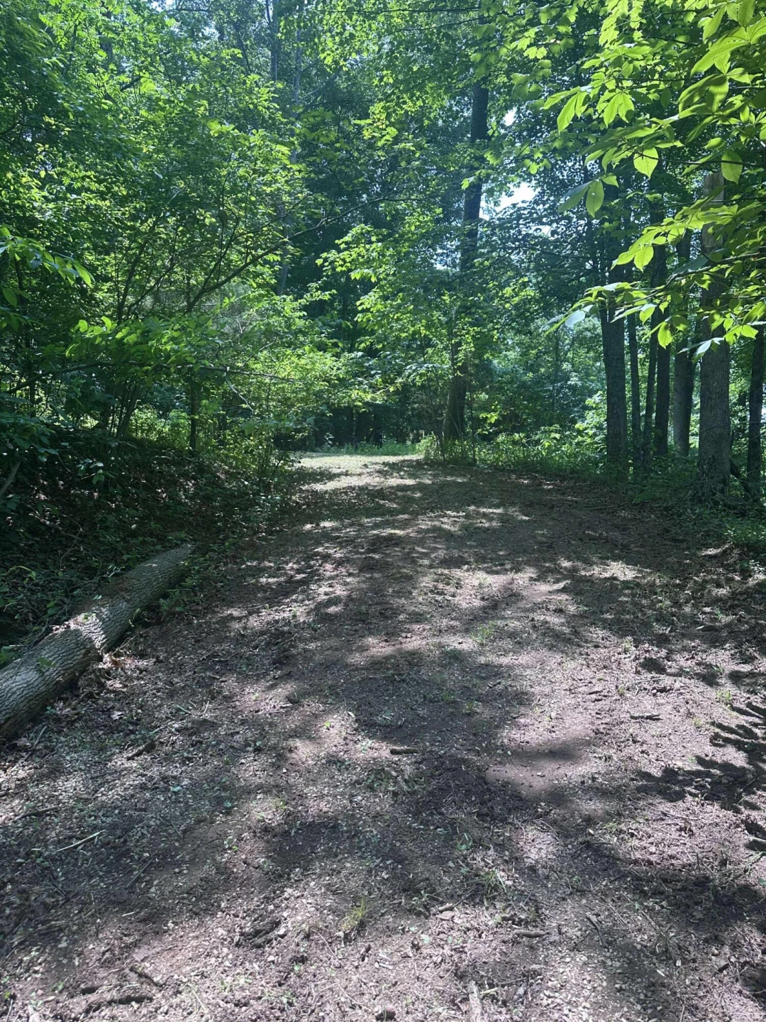 0 Patterson TRL - Photo 5