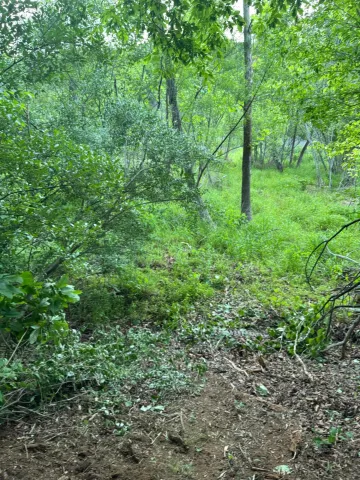 Lot 77 North Church DR