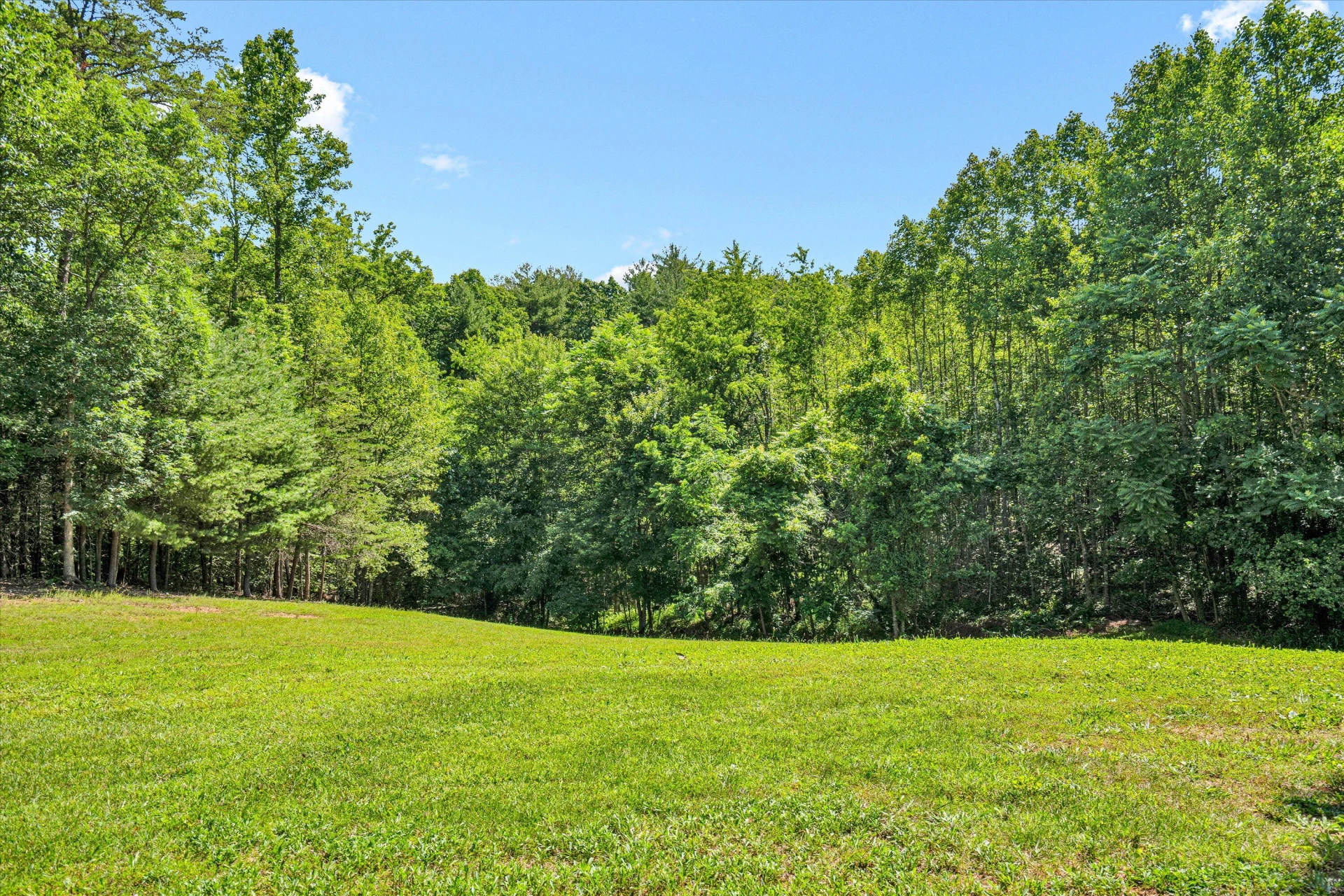 2680 FORK MOUNTAIN RD - Photo 36