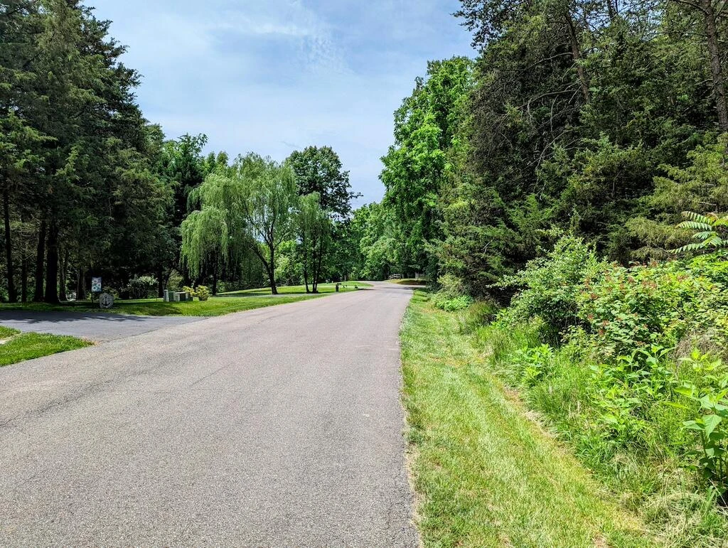 Lot 114 Forest Lawn DR - Photo 10