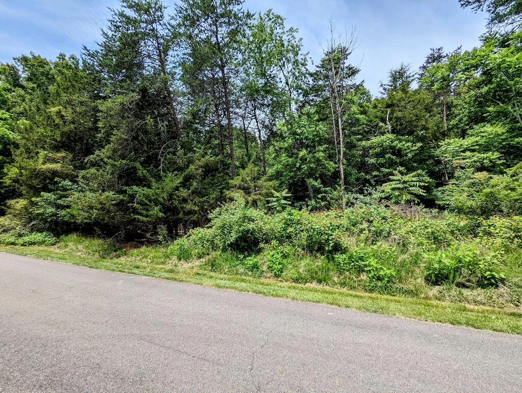 Lot 114 Forest Lawn DR - Photo 11