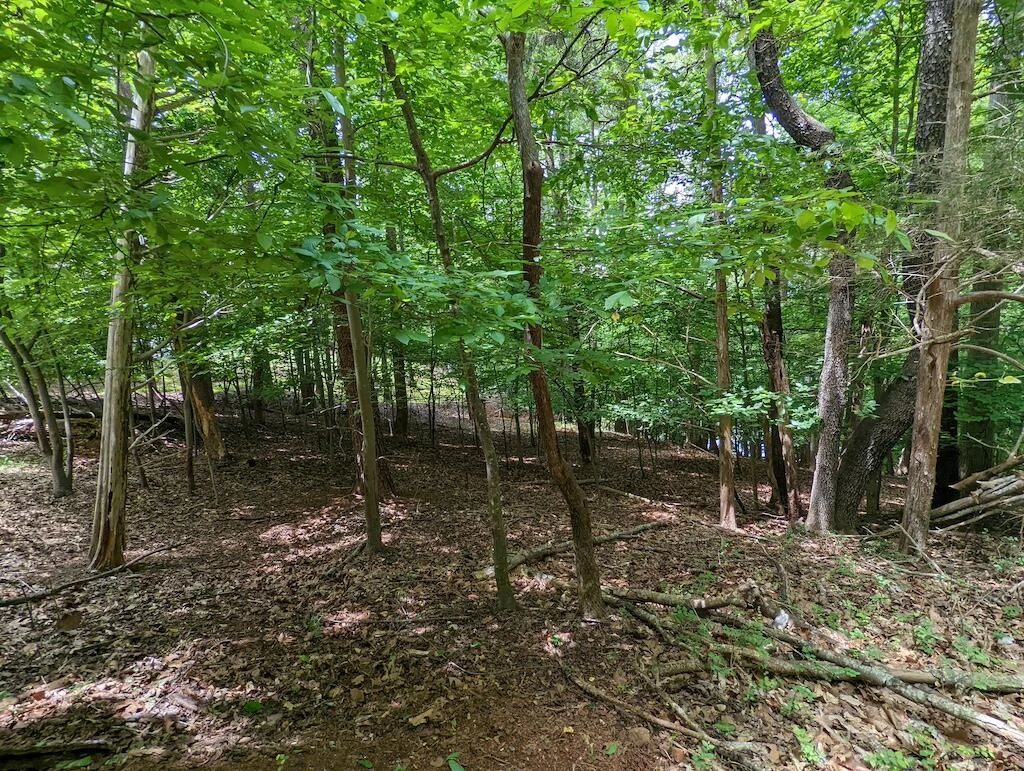 Lot 114 Forest Lawn DR - Photo 3