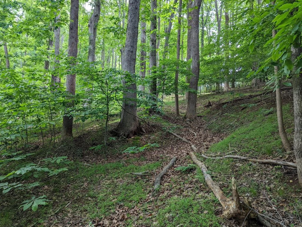 Lot 114 Forest Lawn DR - Photo 5