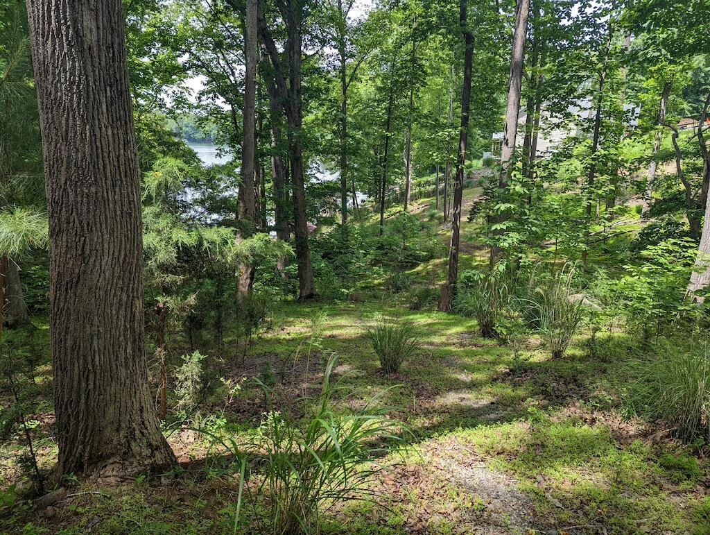 Lot 114 Forest Lawn DR - Photo 6