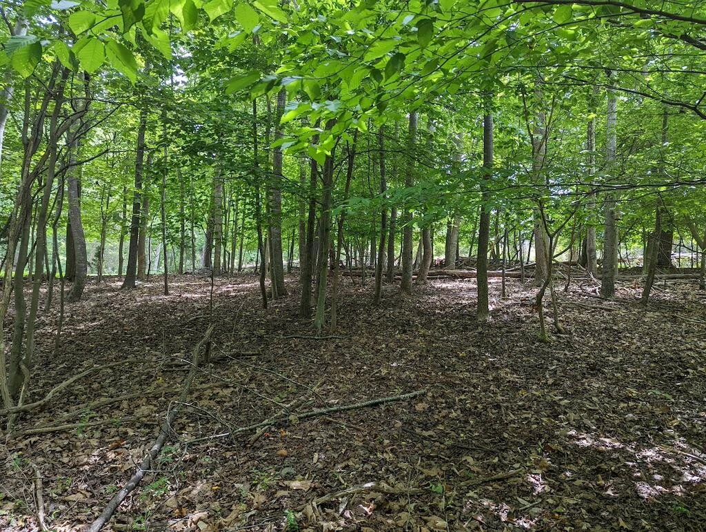 Lot 114 Forest Lawn DR - Photo 7