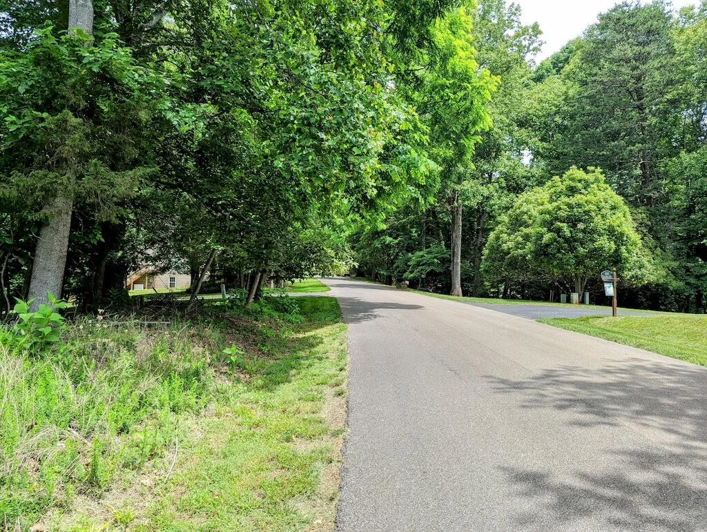 Lot 114 Forest Lawn DR - Photo 9