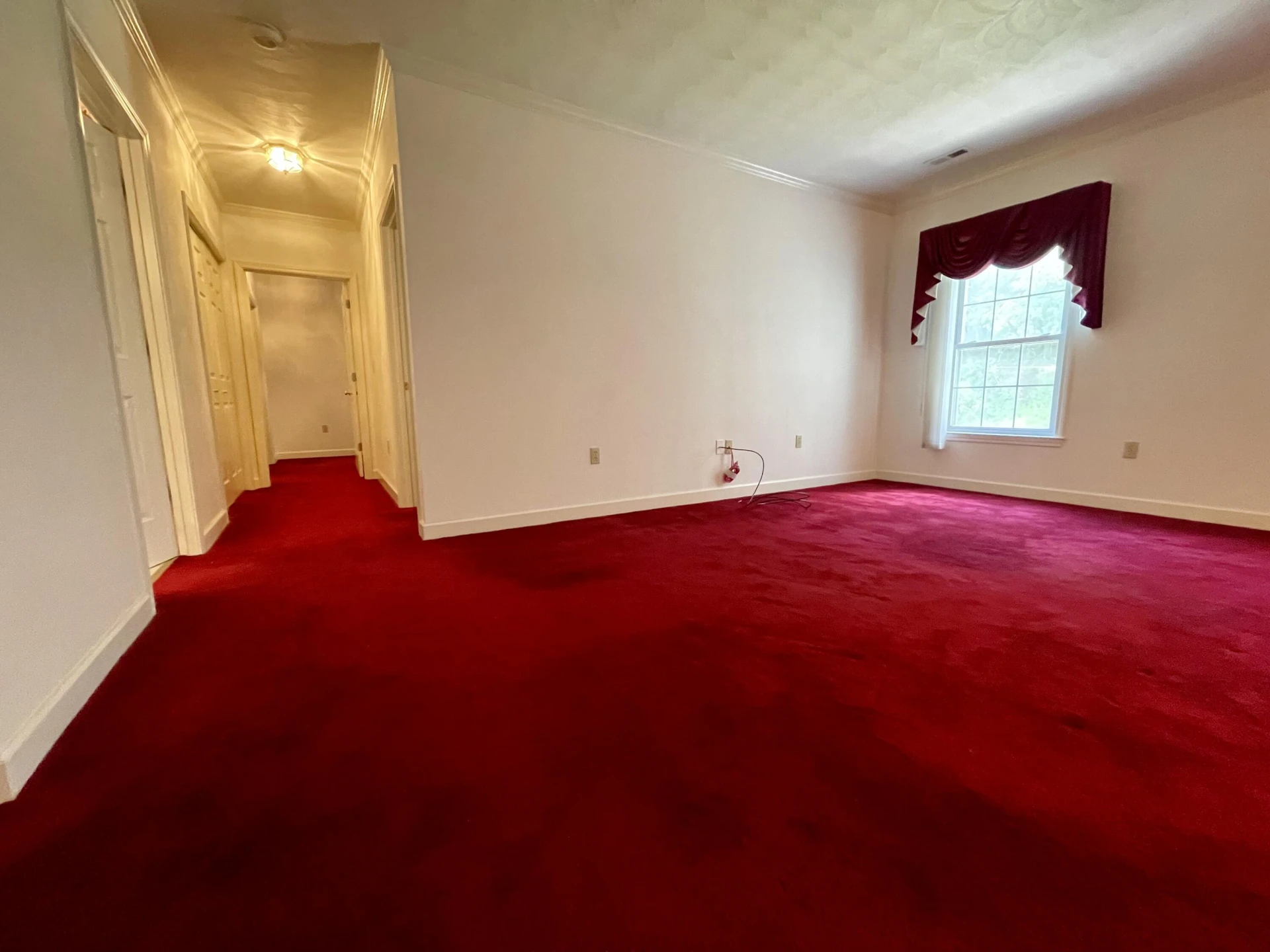 4845 Glen Ivy LN #209 - Photo 12