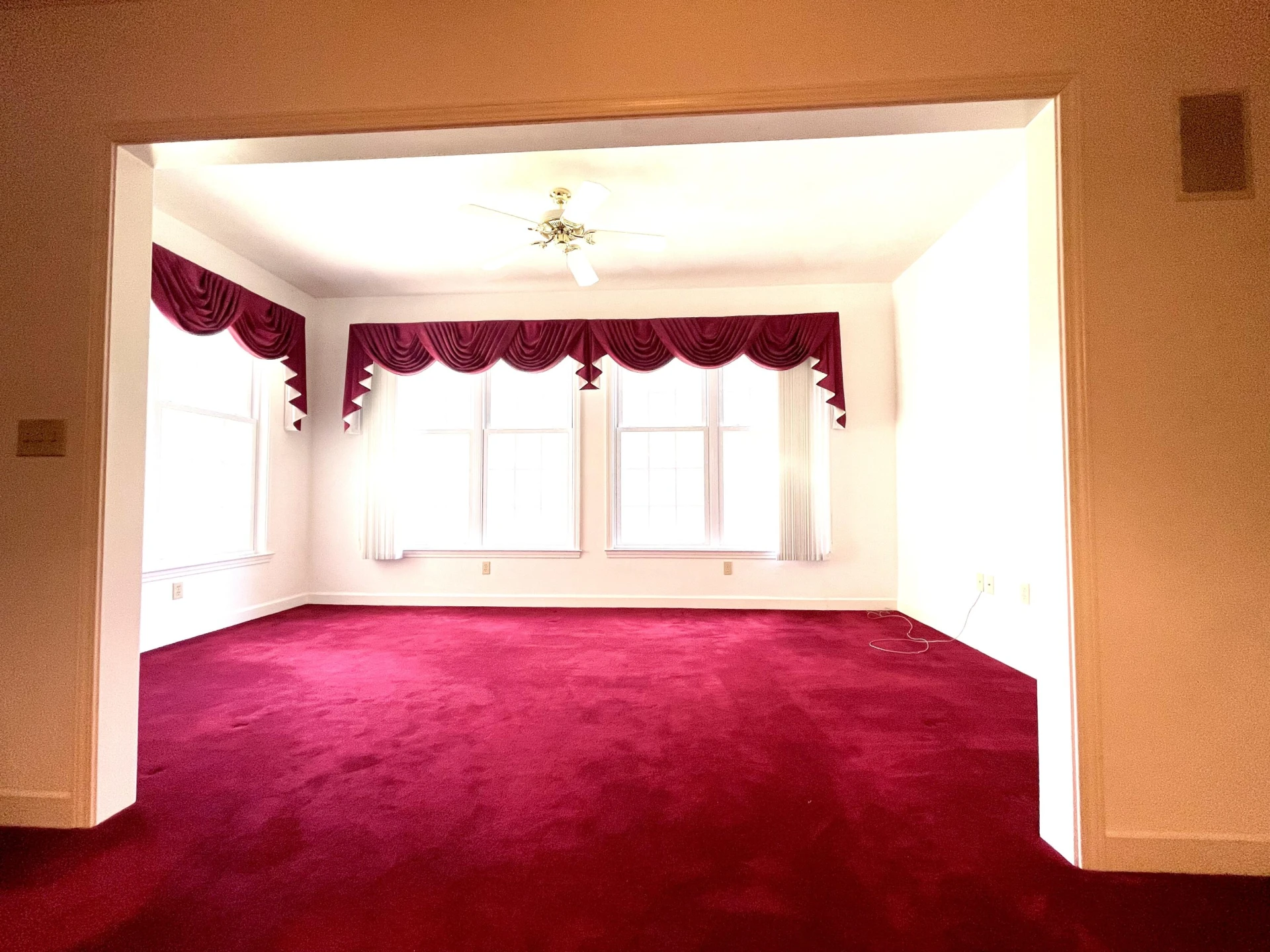 4845 Glen Ivy LN #209 - Photo 14