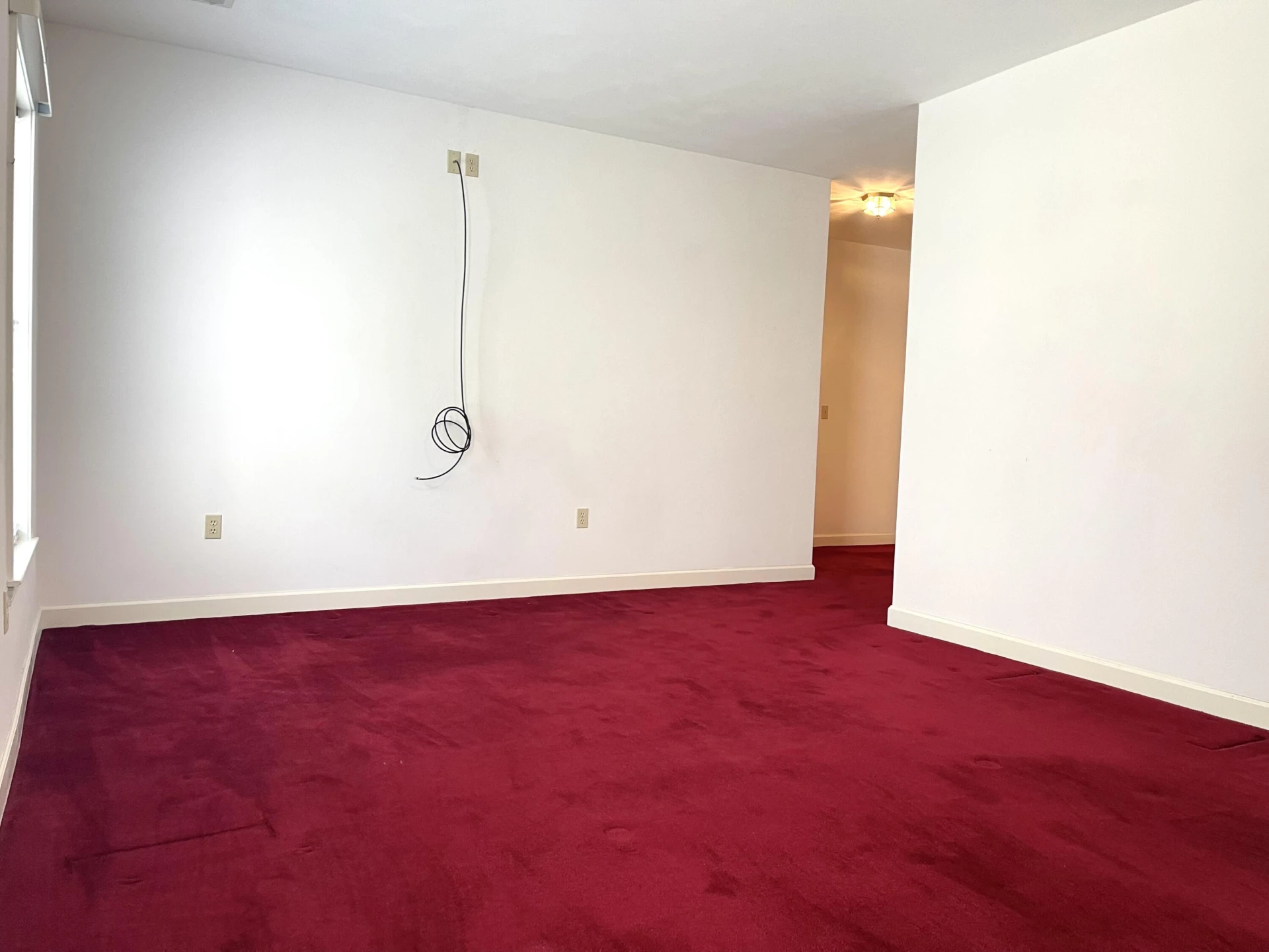 4845 Glen Ivy LN #209 - Photo 19