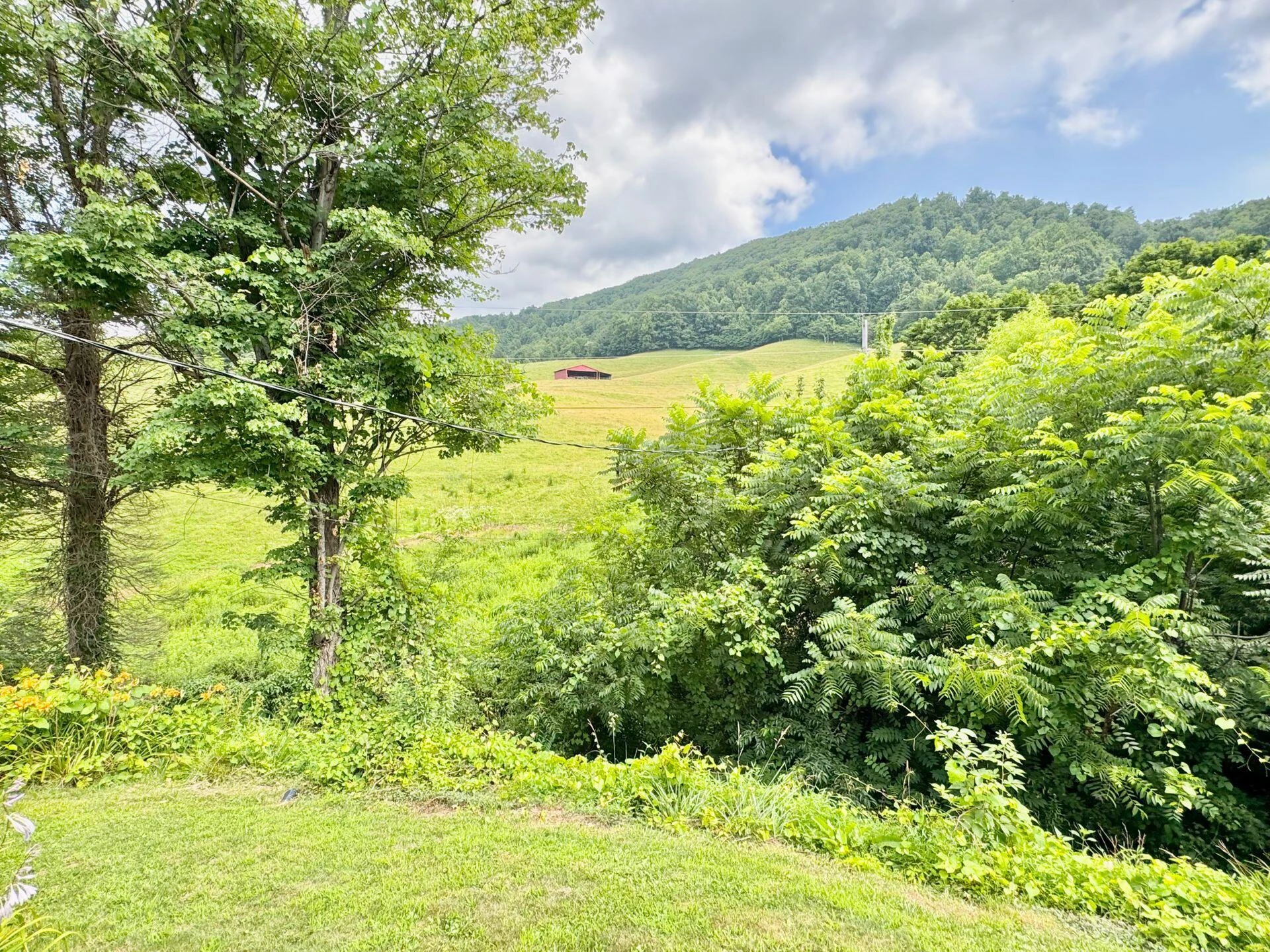 2643 Wades Gap RD - Photo 33