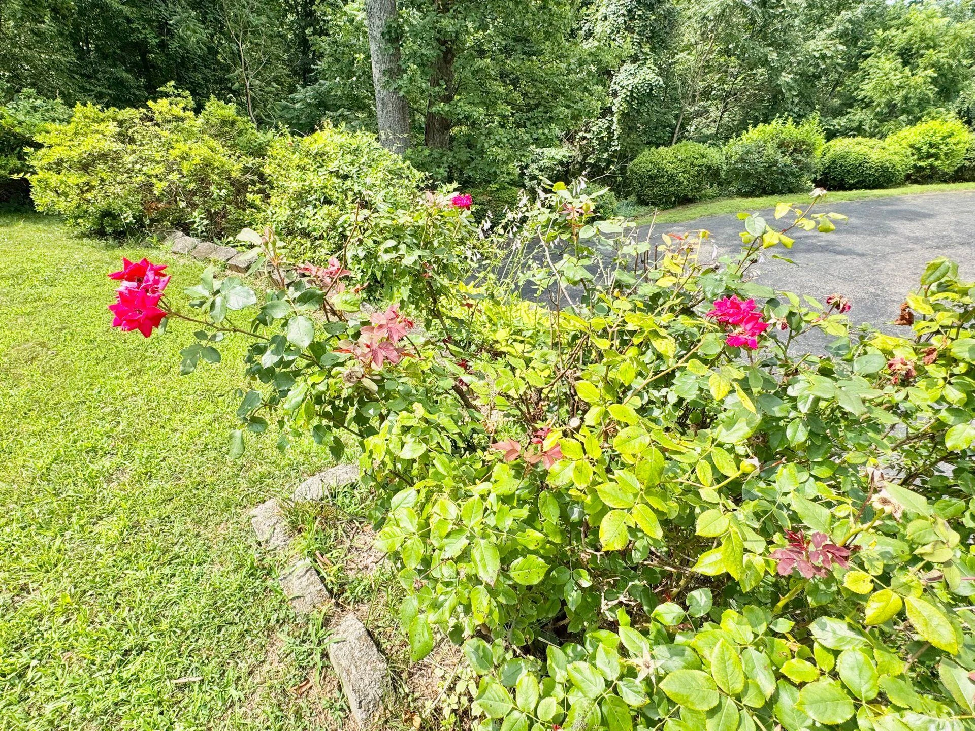 2643 Wades Gap RD - Photo 60