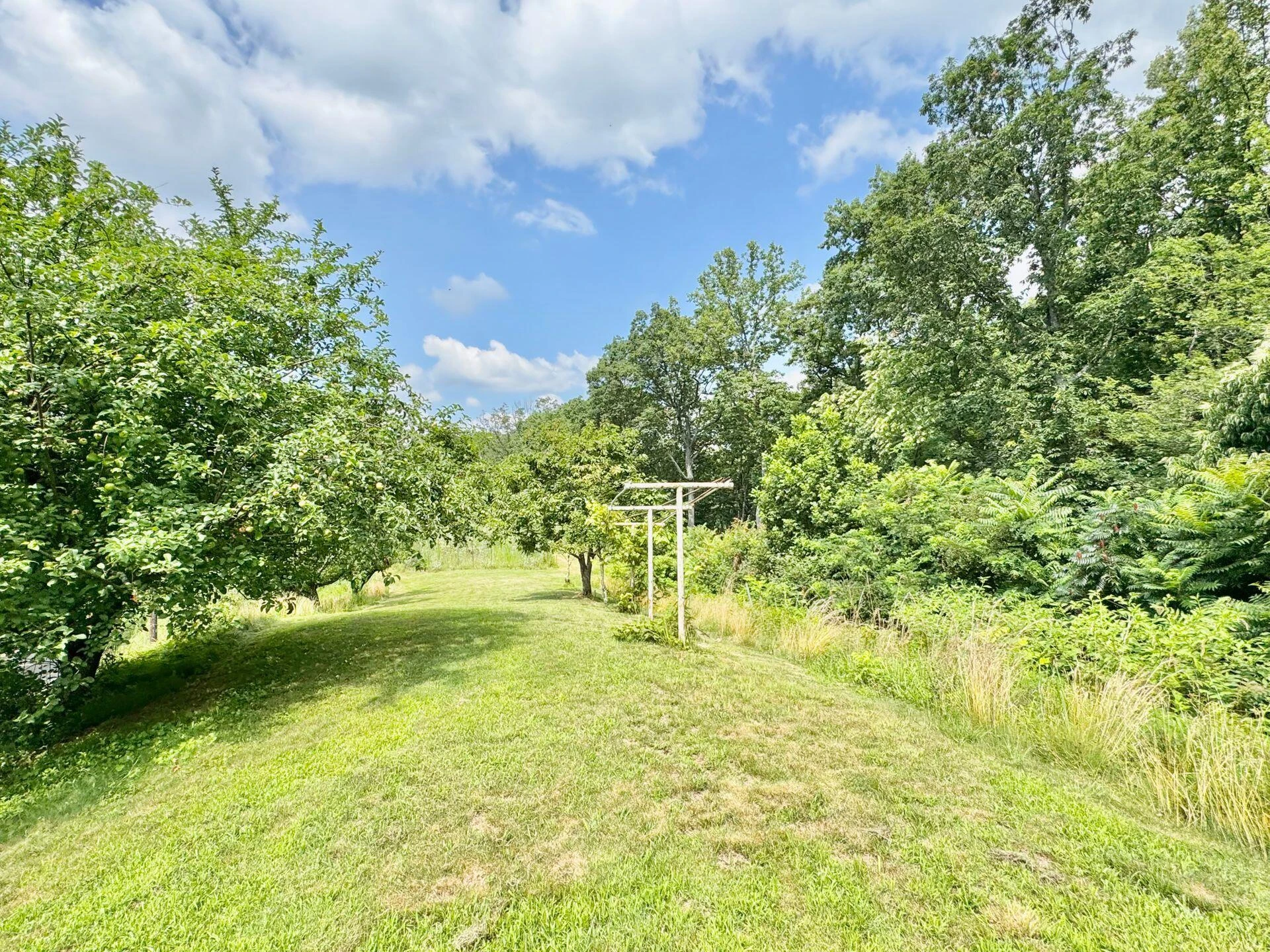 2643 Wades Gap RD - Photo 66