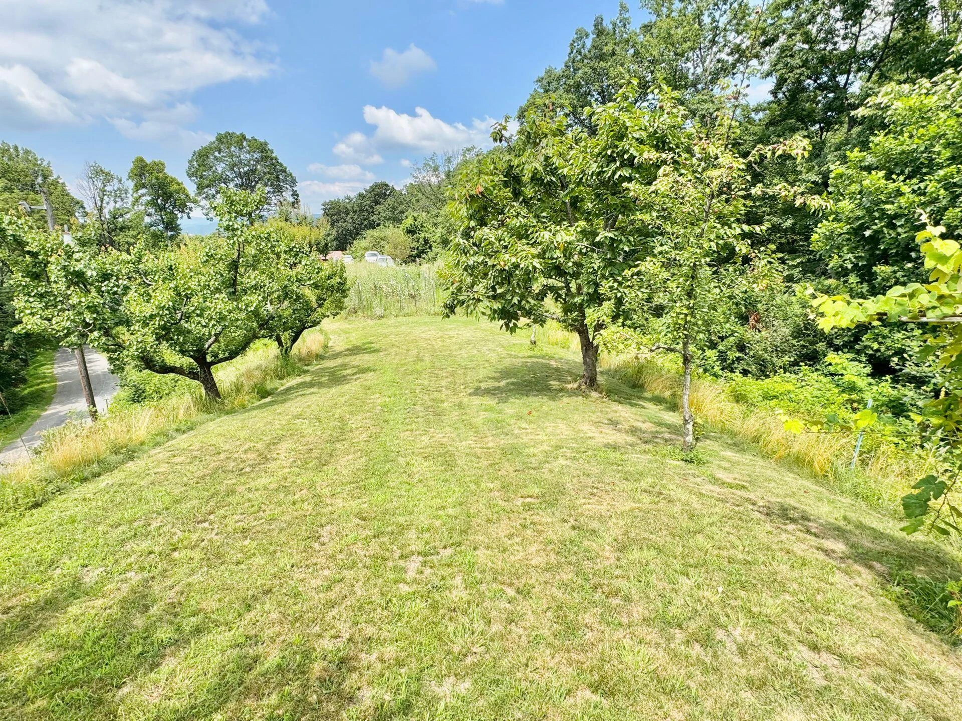 2643 Wades Gap RD - Photo 72