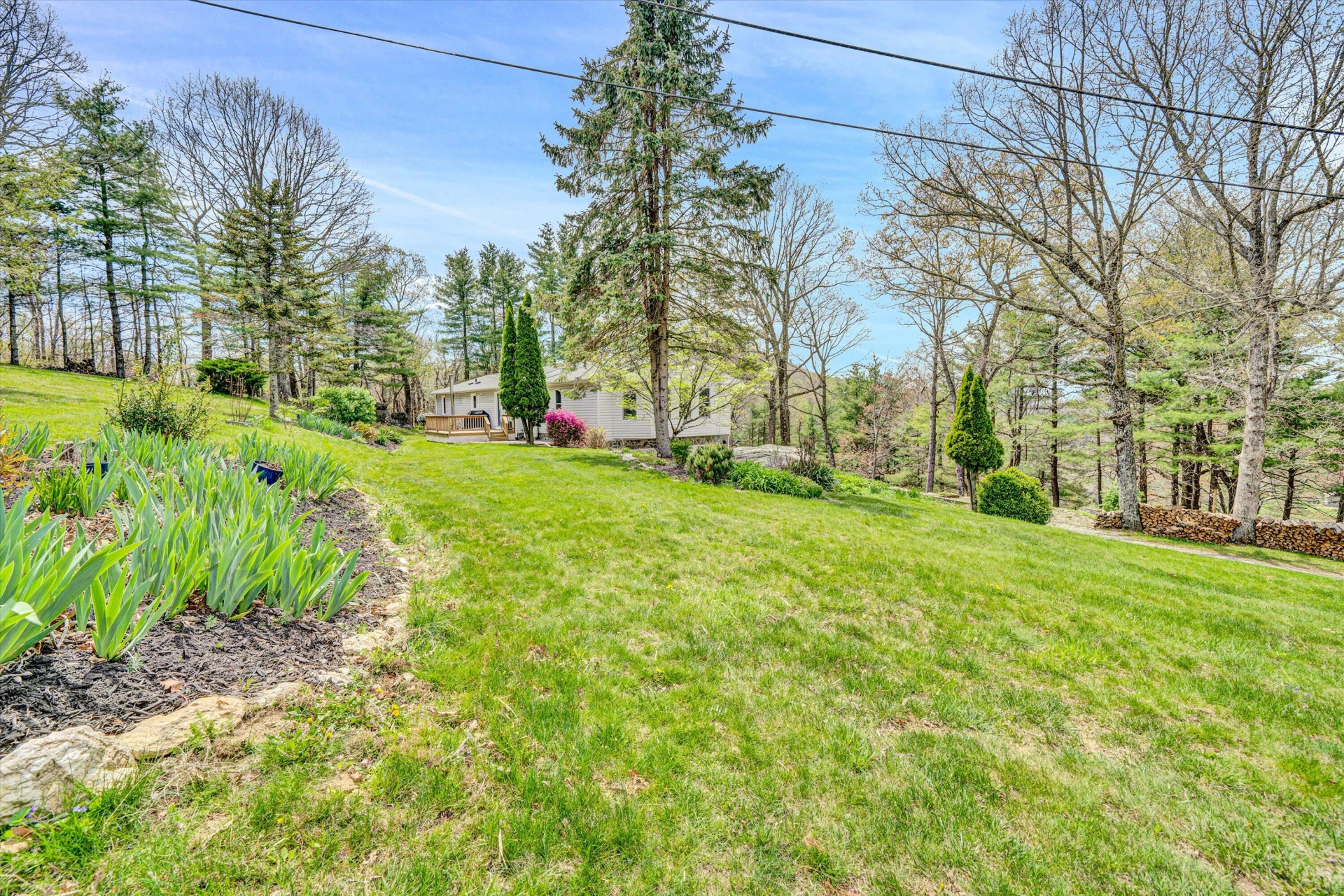 10610 Slings Gap RD - Photo 51