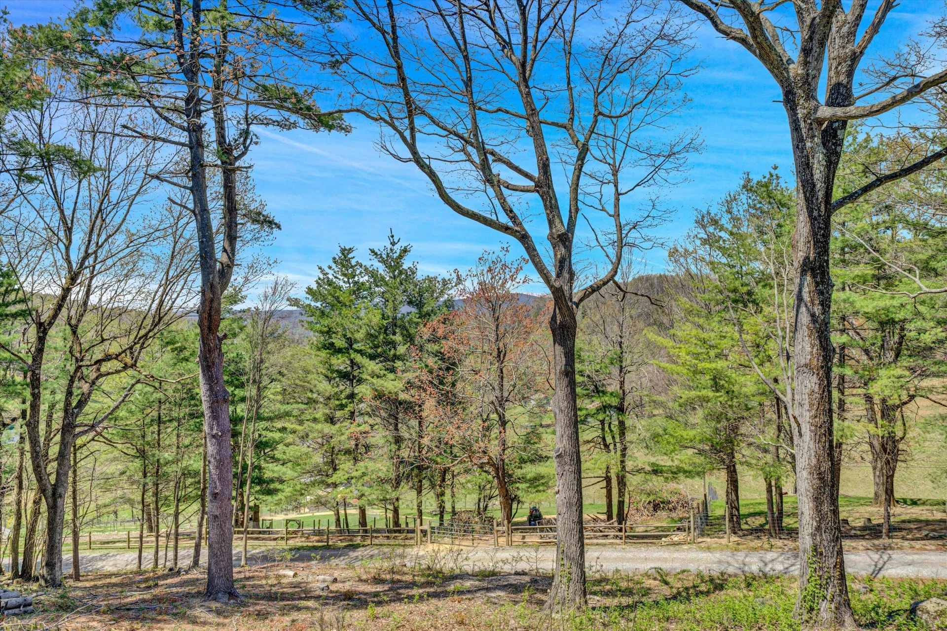 10610 Slings Gap RD - Photo 56