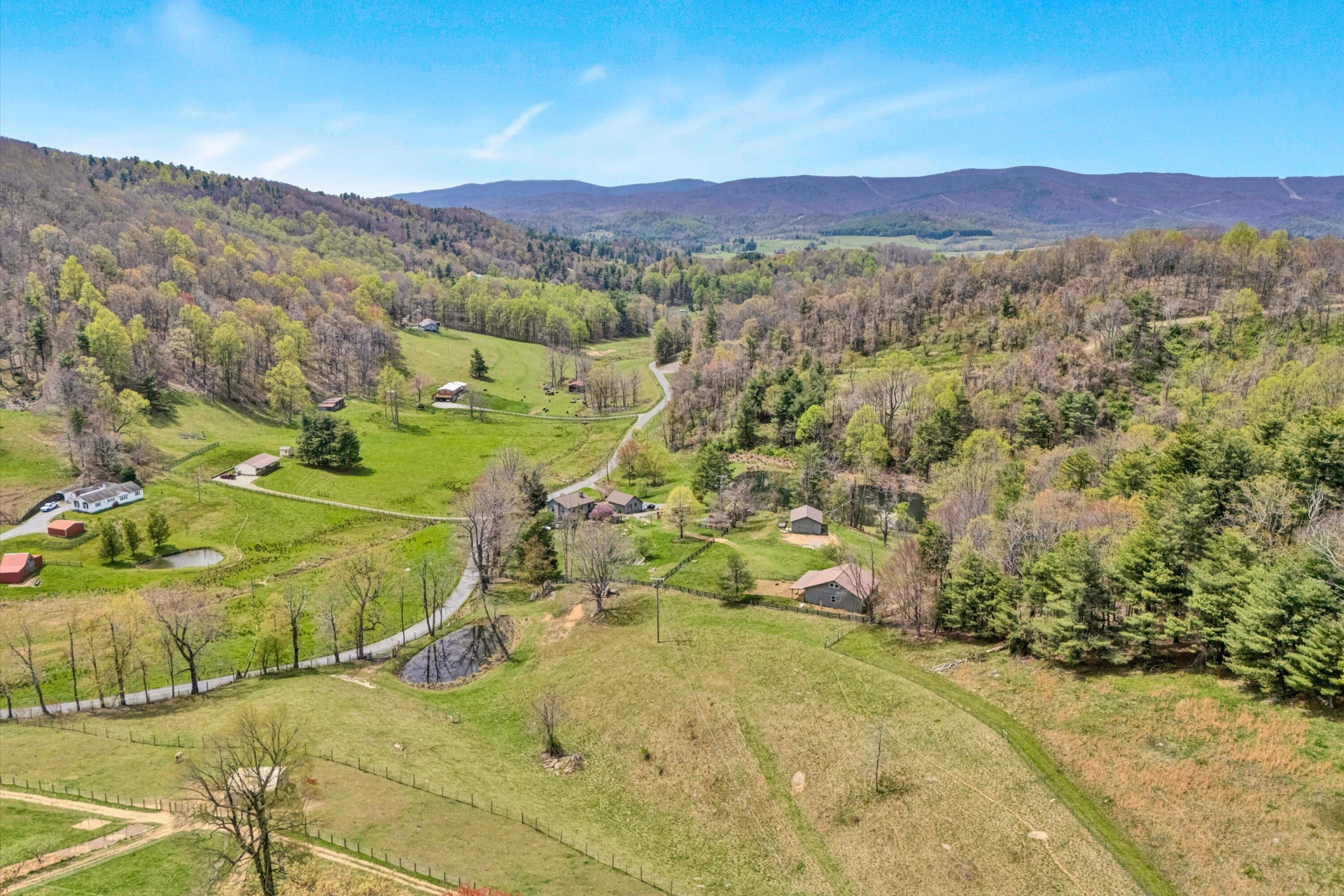 10610 Slings Gap RD - Photo 59