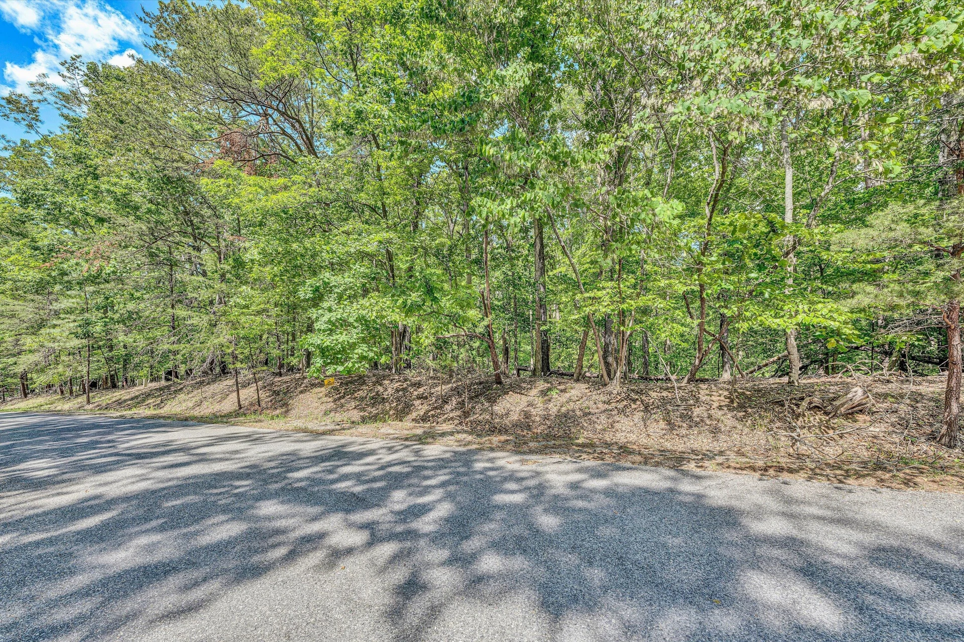 Lot 27 Oak Hollow RD - Photo 3