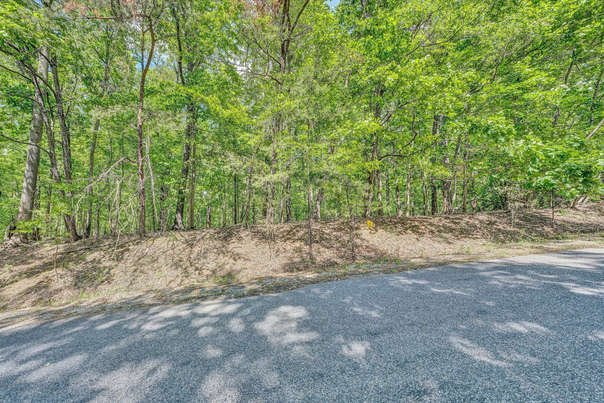 Lot 27 Oak Hollow RD - Photo 4