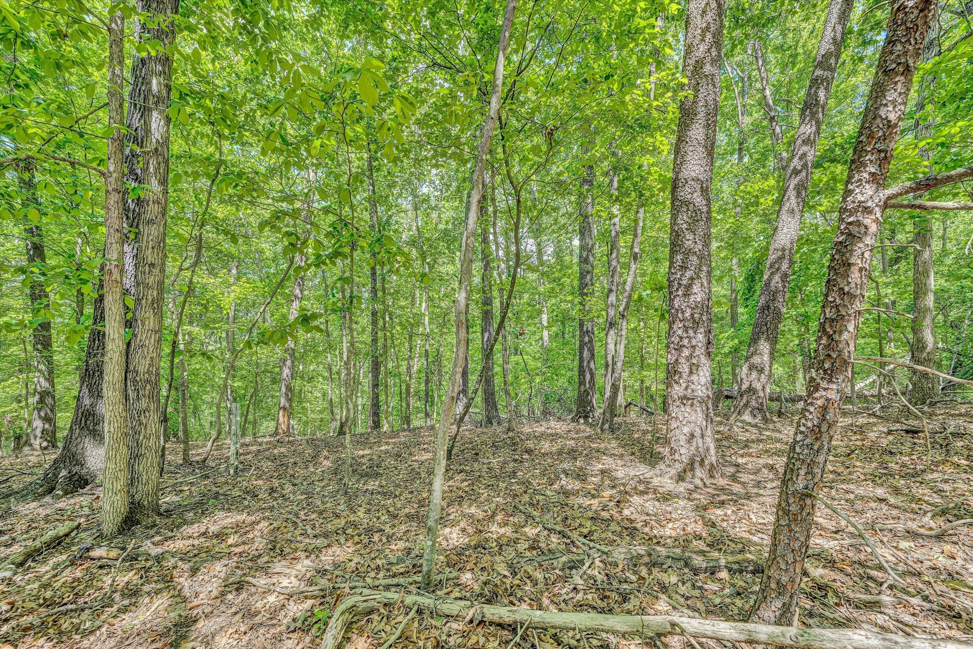 Lot 27 Oak Hollow RD - Photo 5