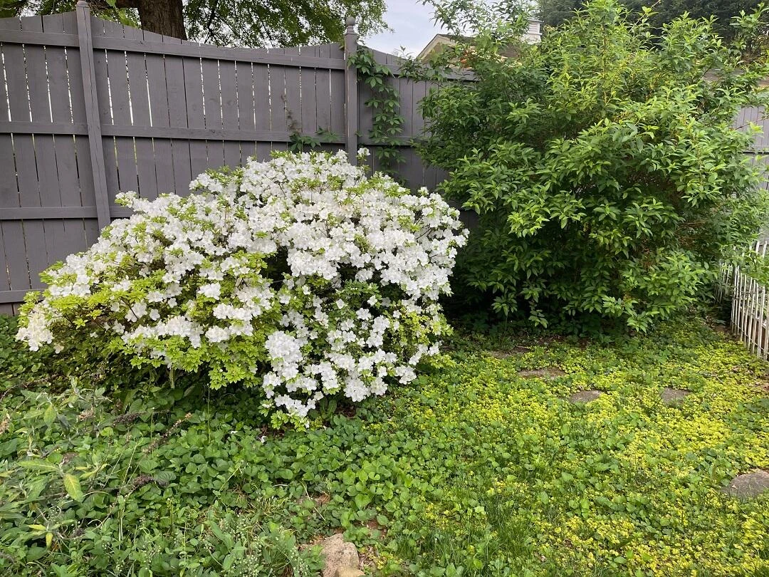 3210 Orchard Hill RD - Photo 36