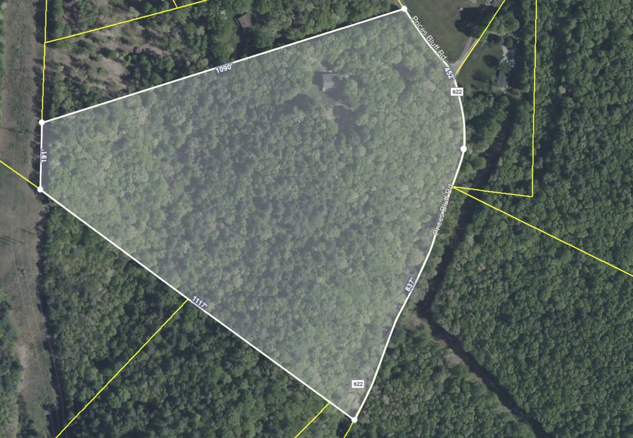 2597 Prices Bluff RD - Photo 46