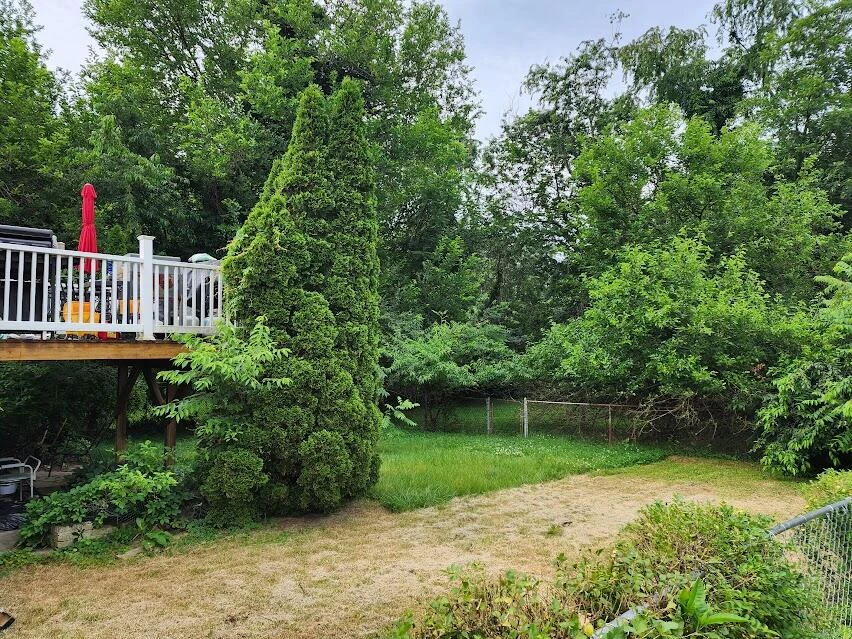 3038 Cove RD - Photo 3