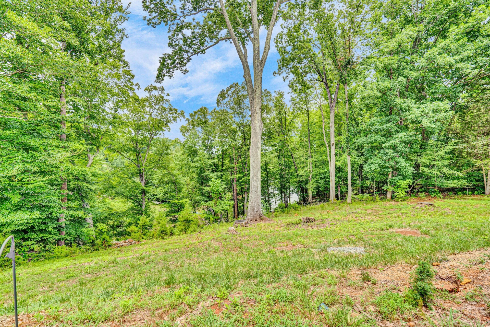 304 Blazing Ridge DR - Photo 29
