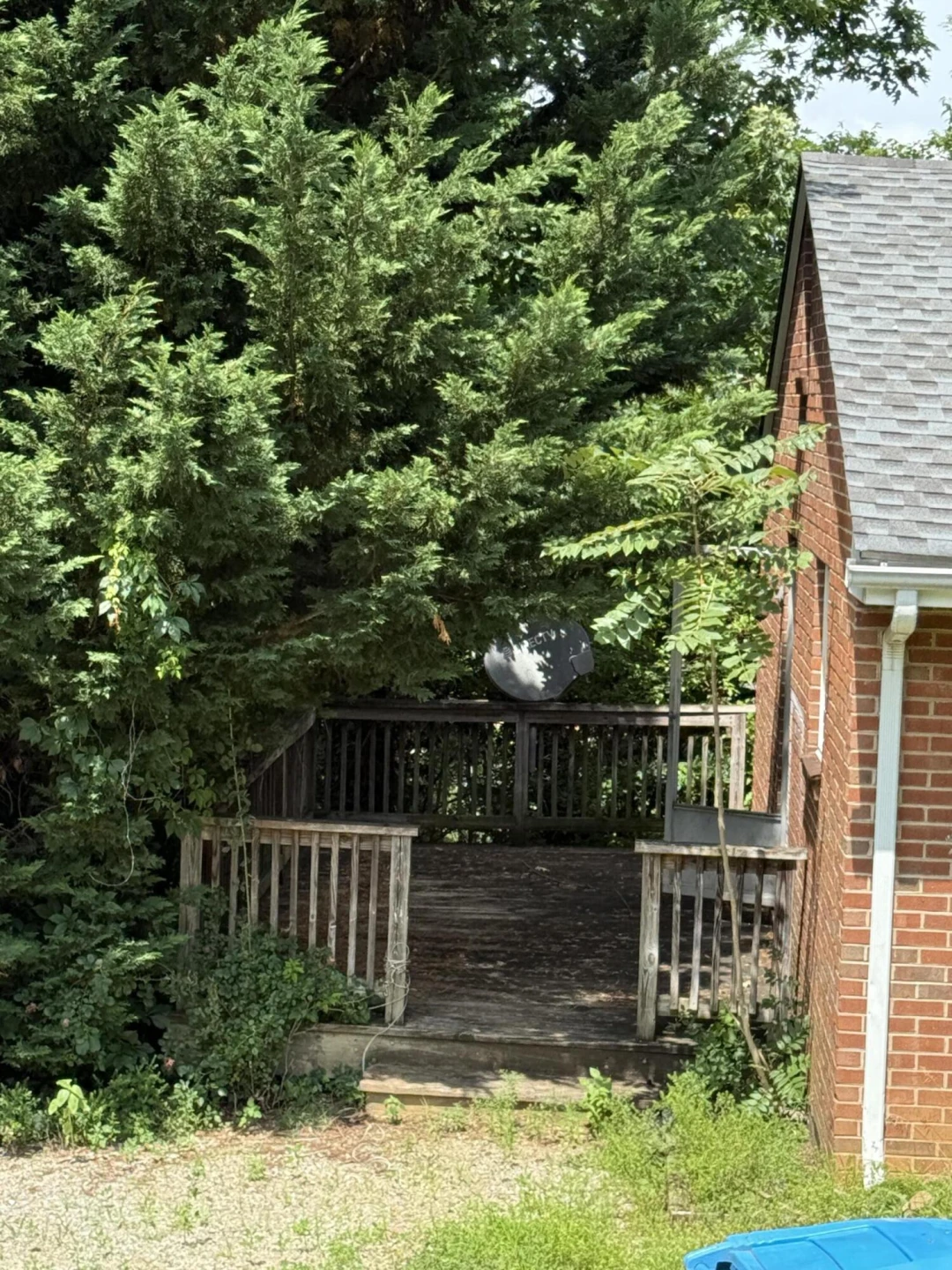 919 Glenn Ridge RD - Photo 5