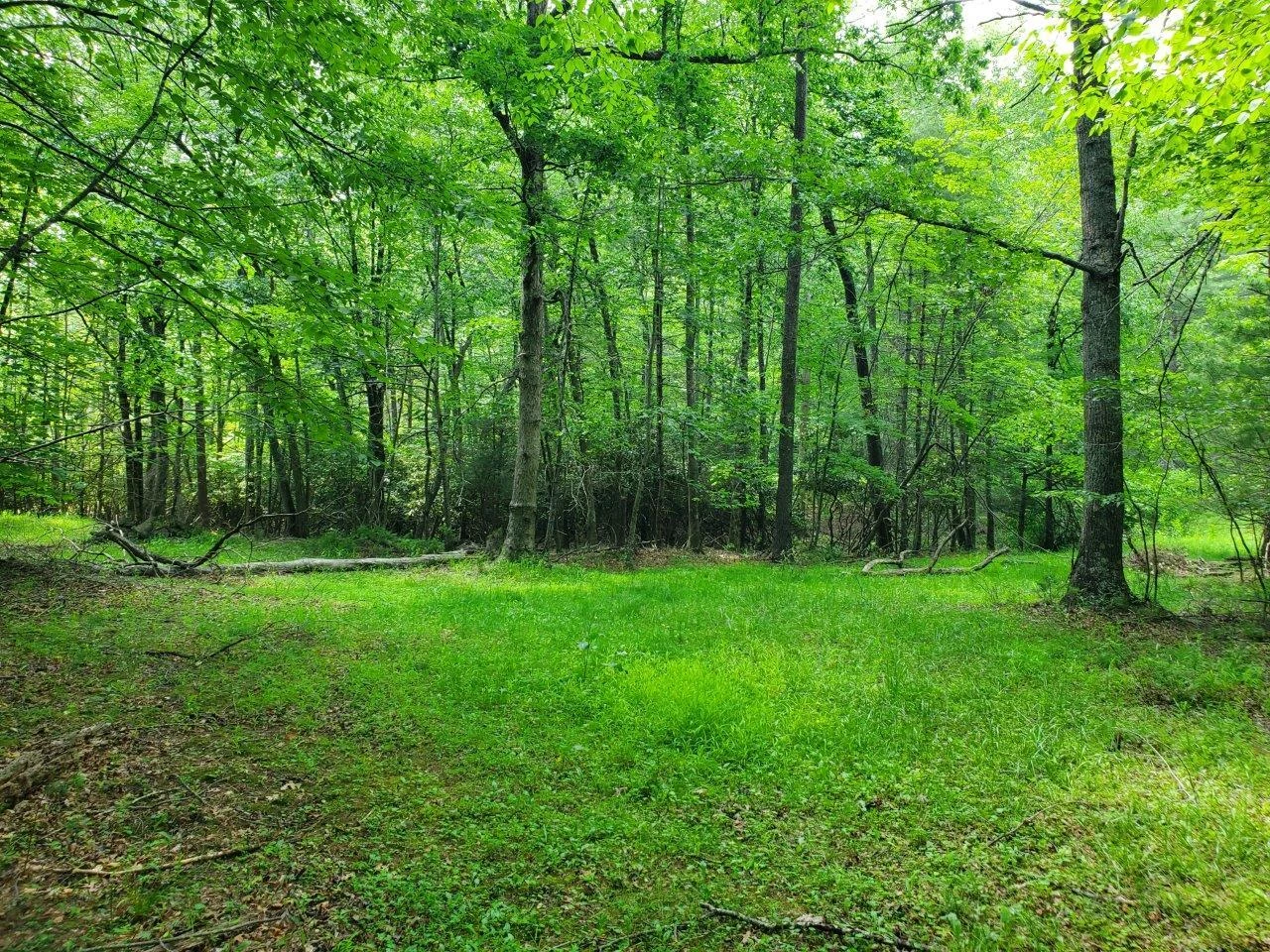 10334 Mill Creek RD