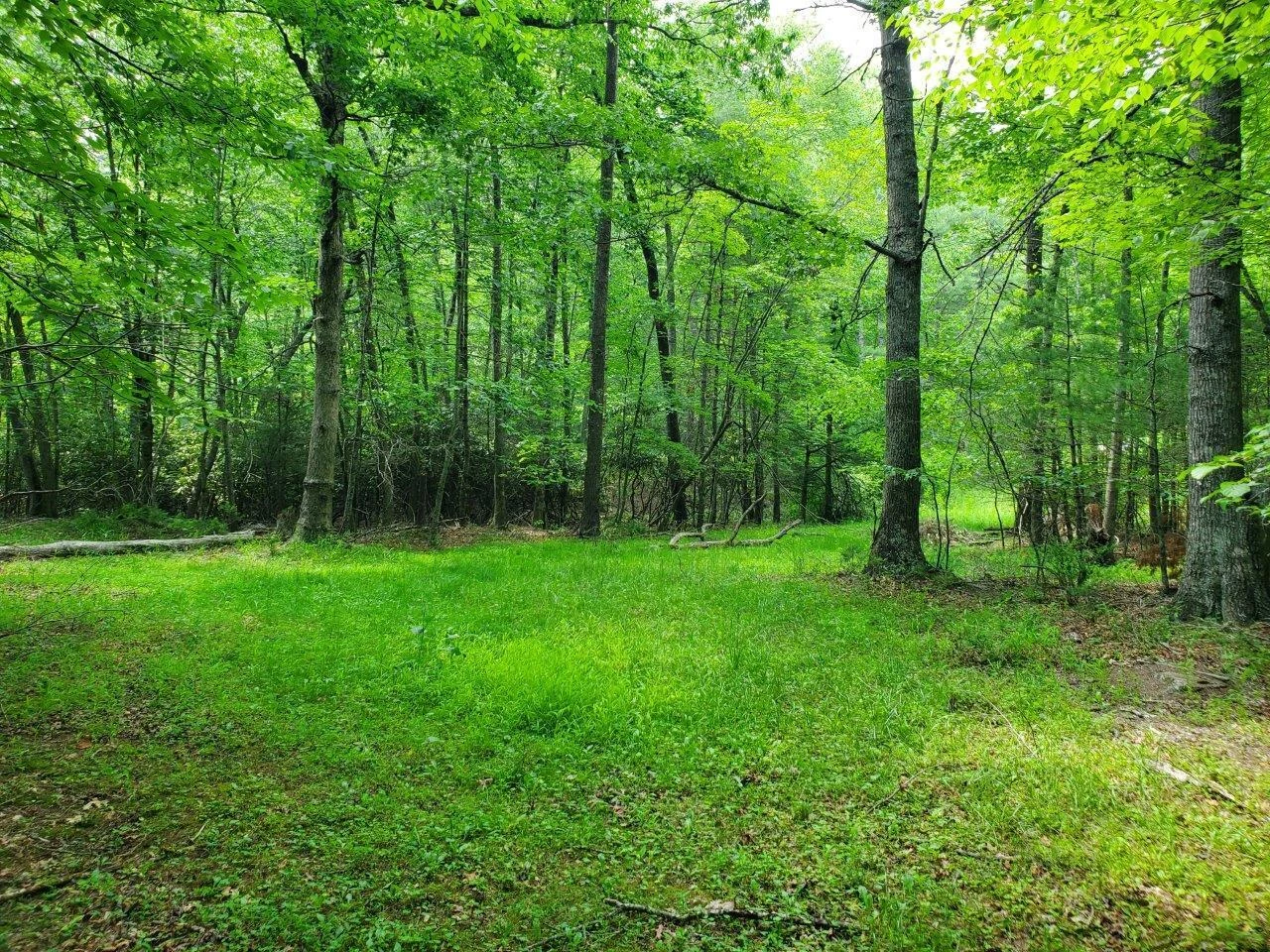 10334 Mill Creek RD - Photo 2