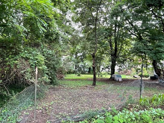 1414 Campbell AVE - Photo 41