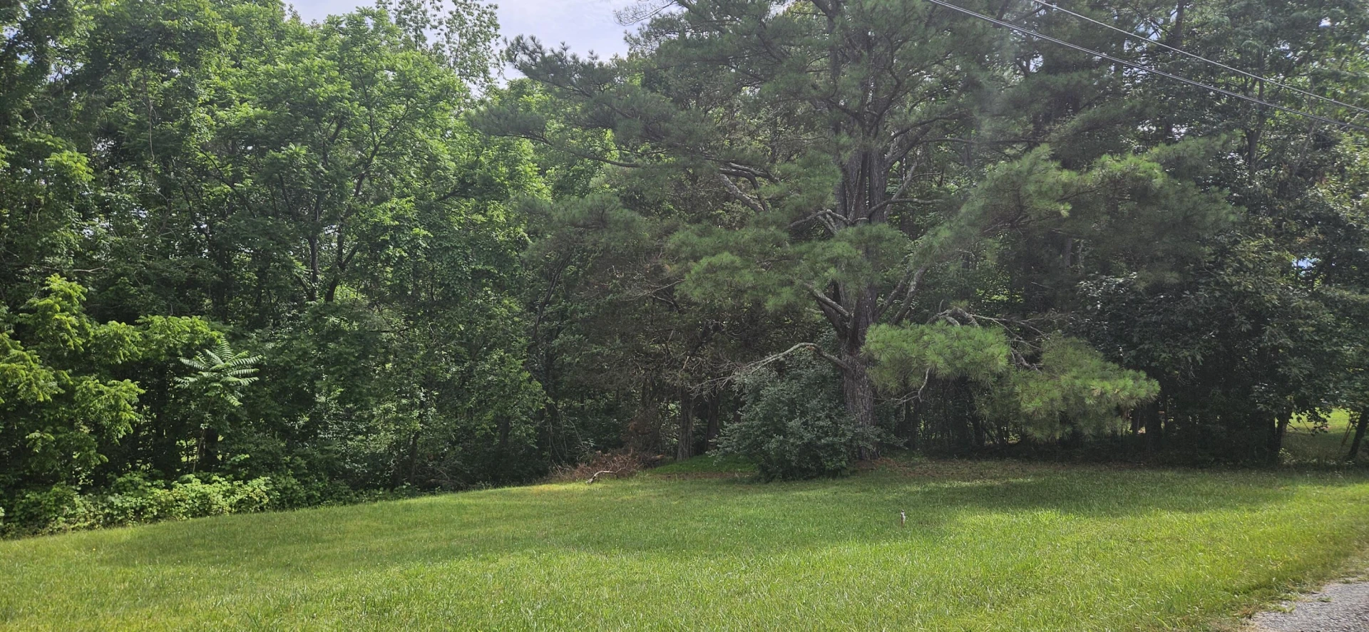 Lot 31-35 Lakeland Pine DR - Photo 10